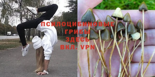 мяу мяу мука Балахна