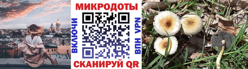Галлюциногенные грибы ЛСД  Теберда 