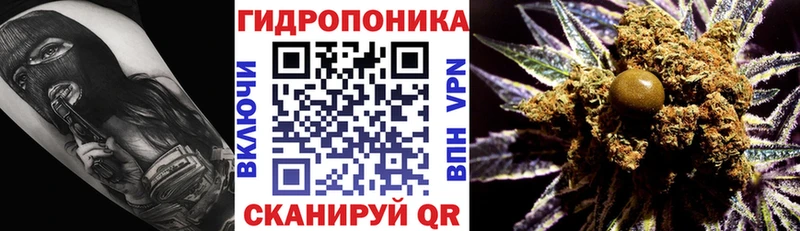 Конопля индика  Теберда 